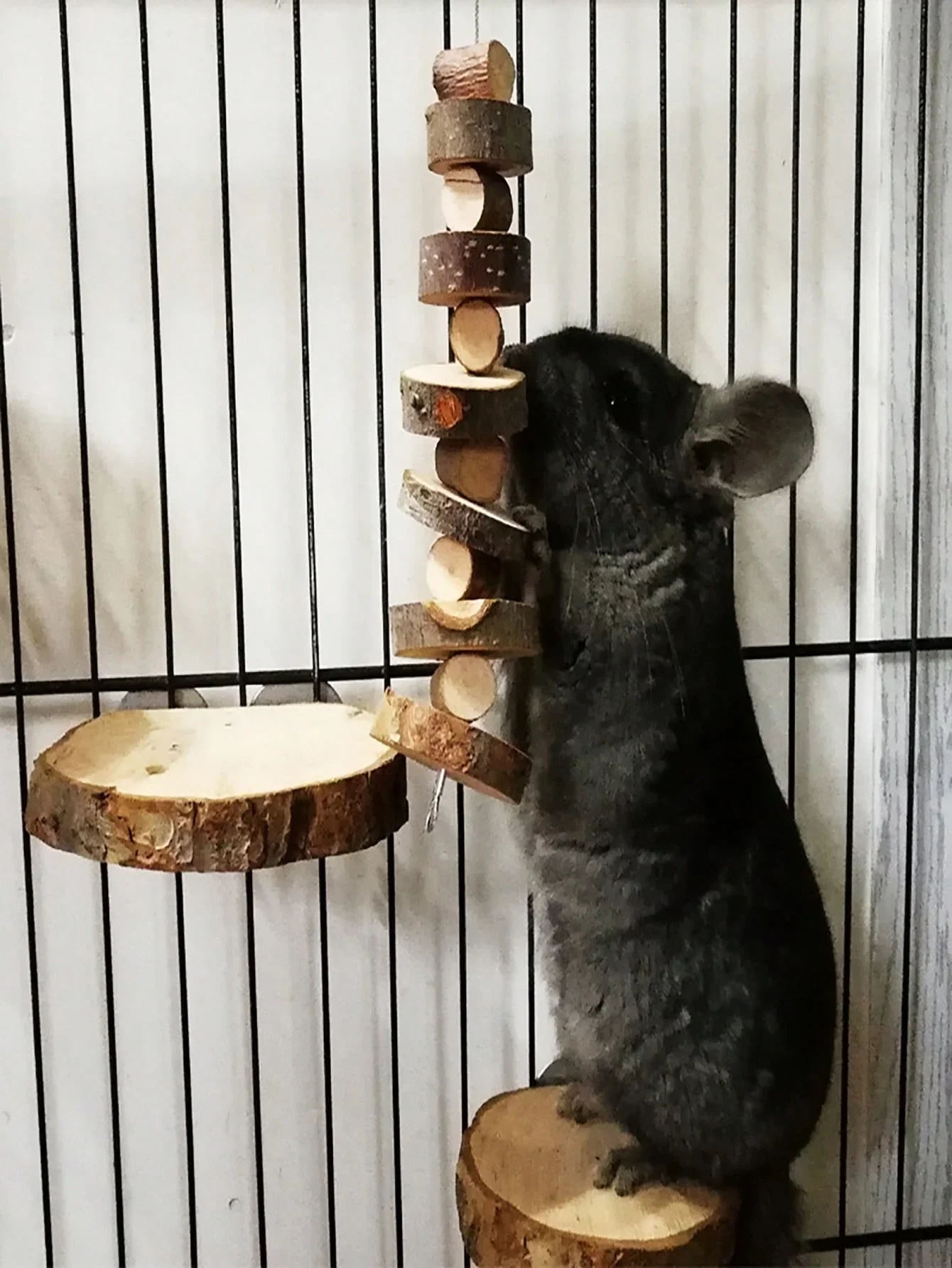 Hamster Rabbit Chew Toy Natura - đánh giá và giá Woodworking Rabbet