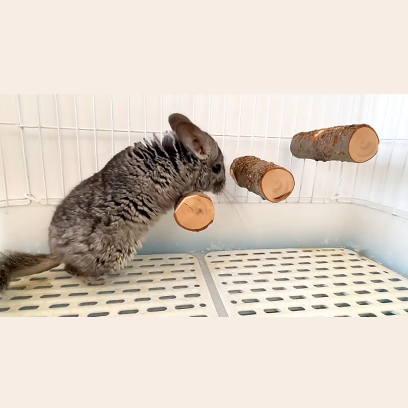 Pet Hamster Toy Natural Apple  - đánh giá và giá Woodworking Rabbet