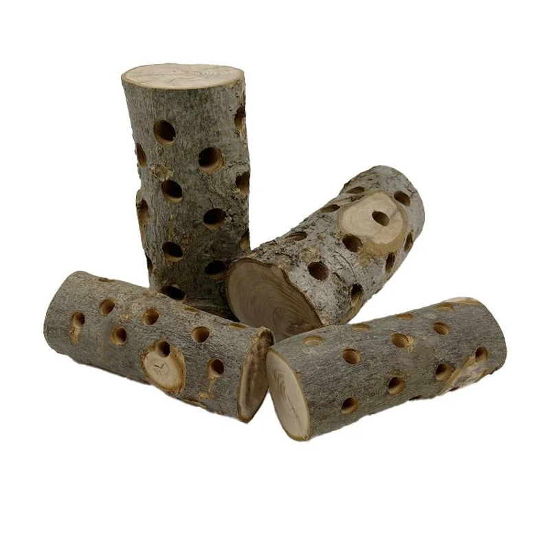 Small Animal Chew Toy Natural  - đánh giá và giá Woodworking Rabbet
